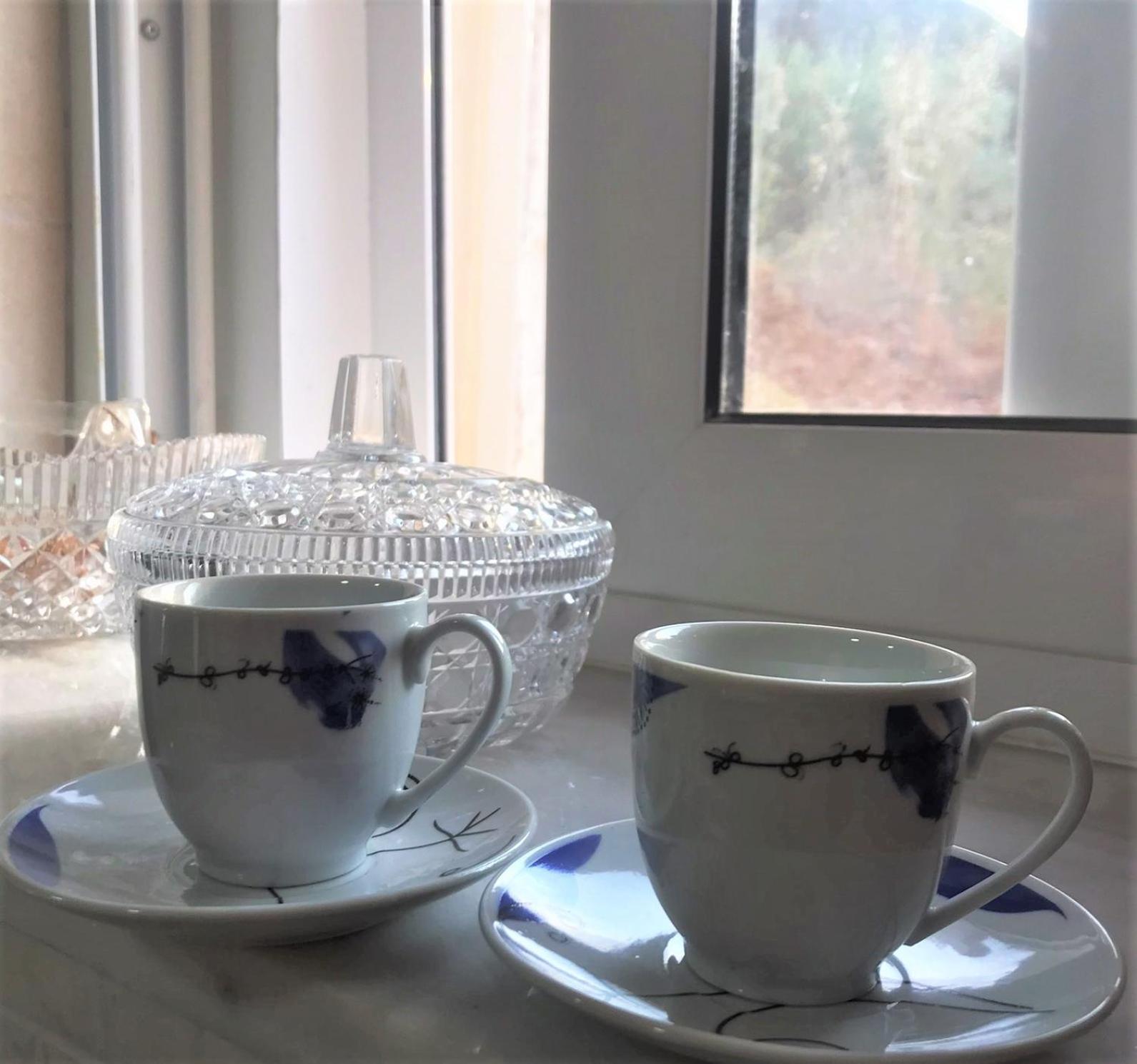 Metaxias House Villa Leonídion Екстериор снимка